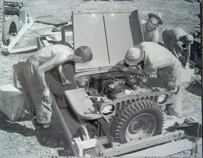 Willys MB Jeep     (12 )
