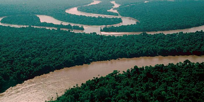 Амазонка – природное чудо планеты (14 фото)