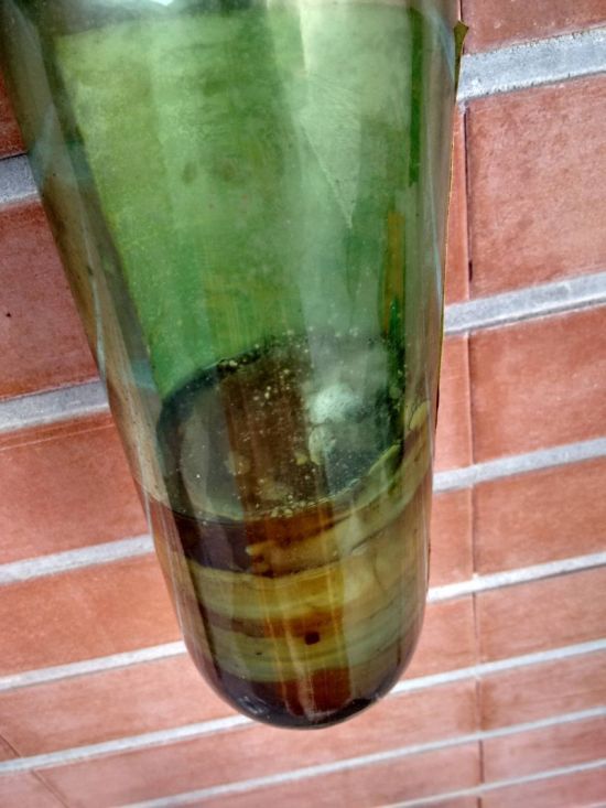Бутылка вермута пролежала 80 лет забытой в шкафу (7 фото)