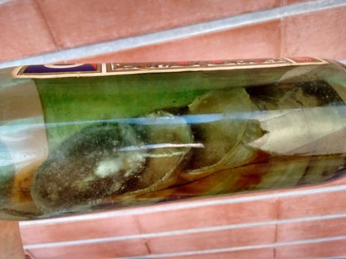 Бутылка вермута пролежала 80 лет забытой в шкафу (7 фото)