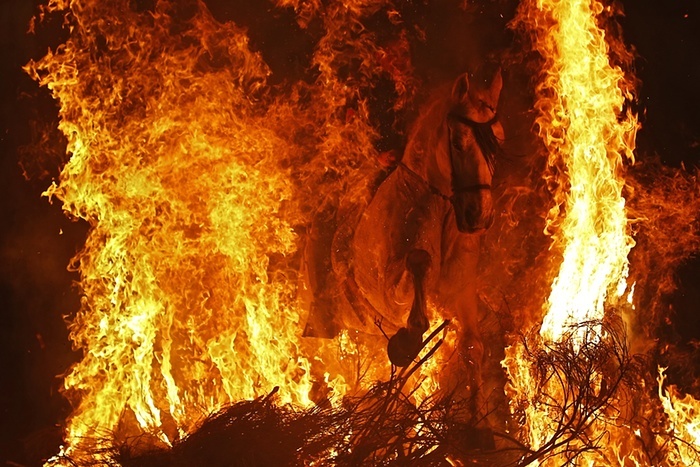   Las Luminarias   (12 )