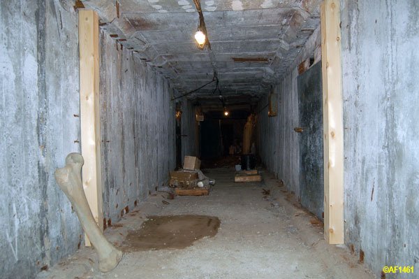Подземелья института мерзлотоведения (29 фото)