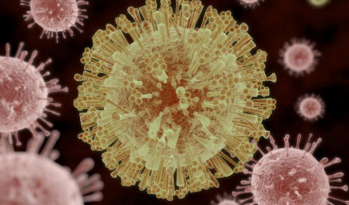 Вирус Зика: болезнь, угрожающая всему человечеству (7 фото)