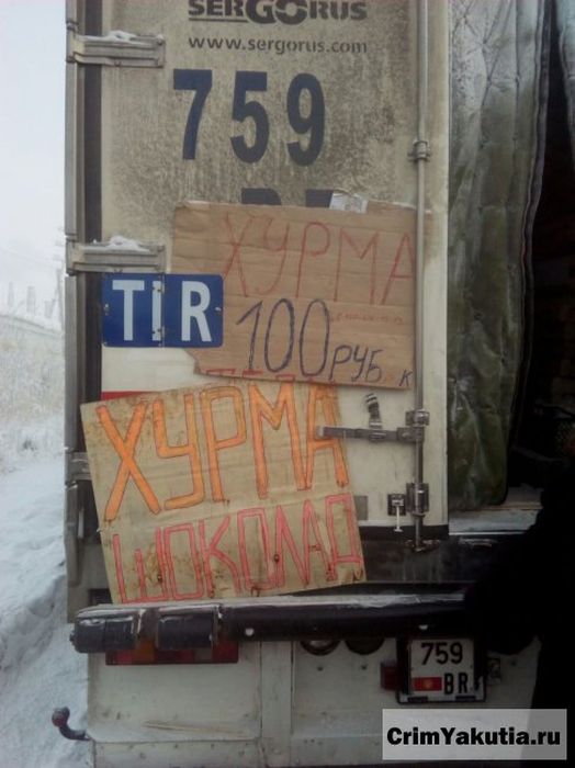 Жители Якутска помогли дальнобойщику, заморозившему груз хурмы (7 фото)