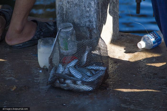 Нехитрое вьетнамское приспособление для рыбной ловли (7 фото)