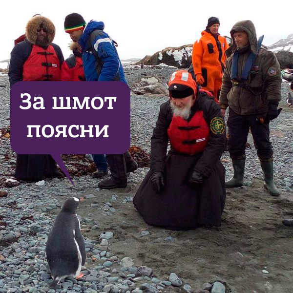 Фото патриарха Кирилла и пингвинов стало поводом для фотожаб (15 фото)