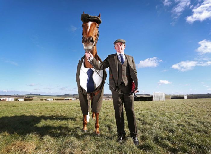 Представили первый в мире костюм-тройку для лошади (4 фото)