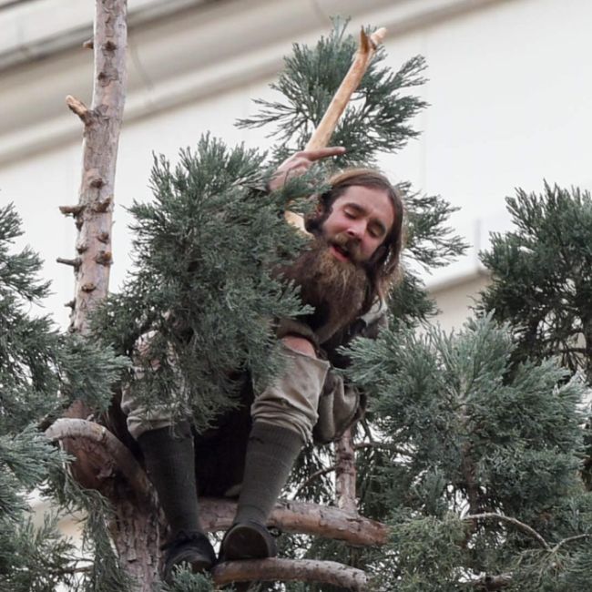 Странный американец залез на дерево (3 фото)