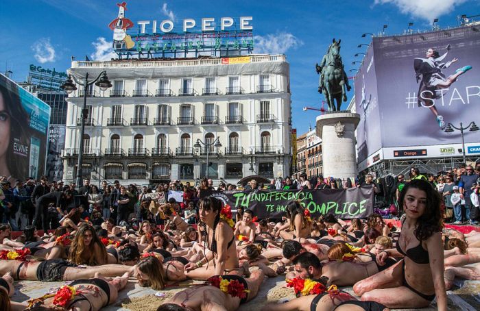 В Мадриде устроили акцию протеста против корриды (11 фото)