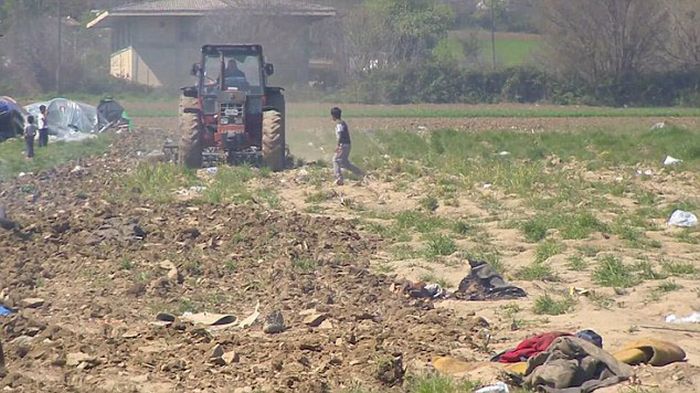 Фермер разрушил лагерь для беженцев, на его земле (9 фото)