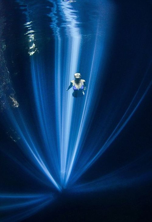Лучшие работы конкурса подводных фото (20 фото)