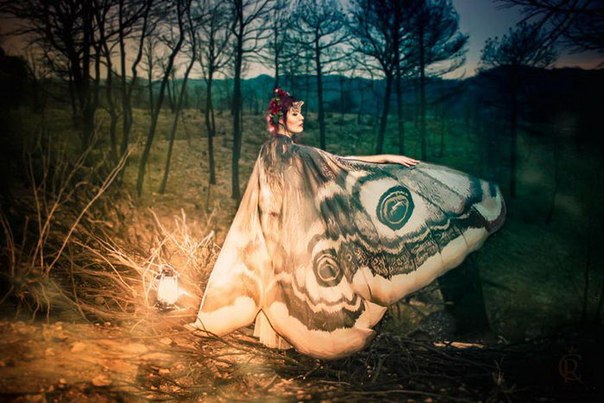 Волшебные платки в форме крыльев бабочек (10 фото)