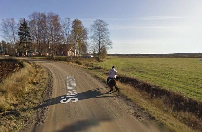 Последствия встречи лошади с машиной Google Street View (5 фото)