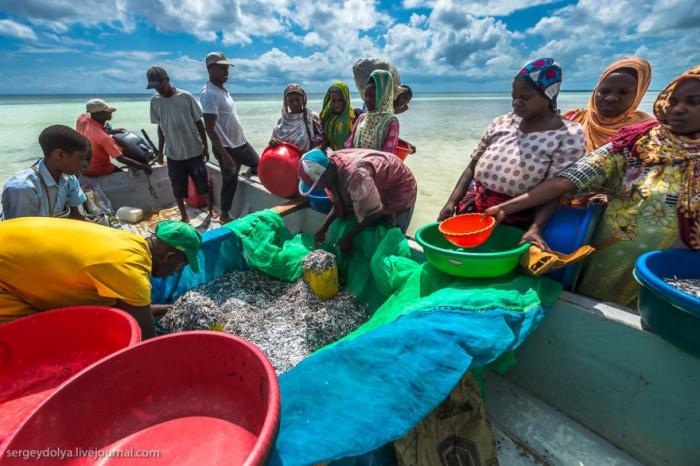 Рыбаки на Занзибаре (21 фото)