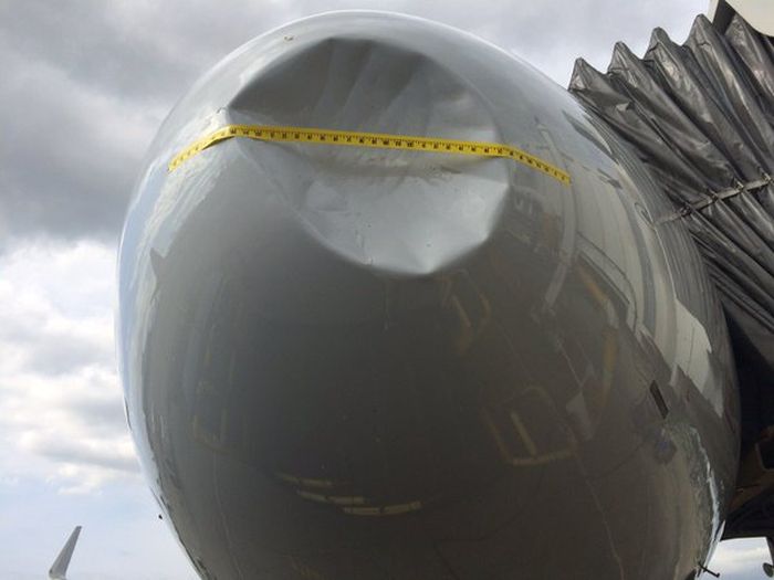 В США самолет совершал экстренную посадку после столкновения со стаей птиц (3 фото)