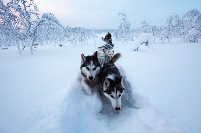 Жизнь отшельницы на севере Финляндии (20 фото)