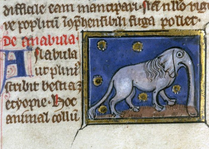 Как средневековые художники рисовали слонов (20 фото)