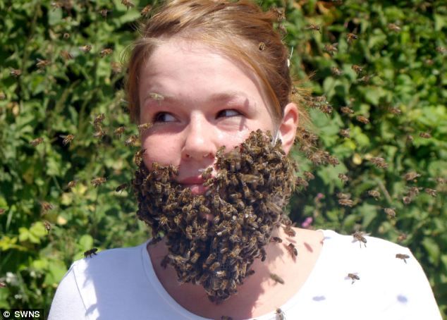 Пчелиная борода (3 фото)