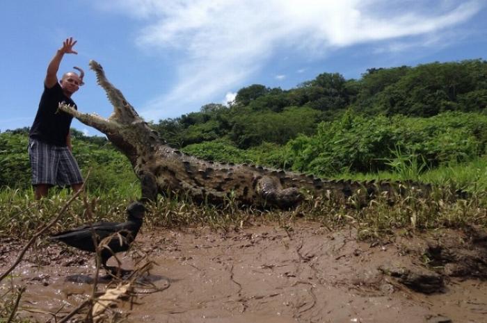 Заклинатель крокодилов из Коста-Рики (8 фото)