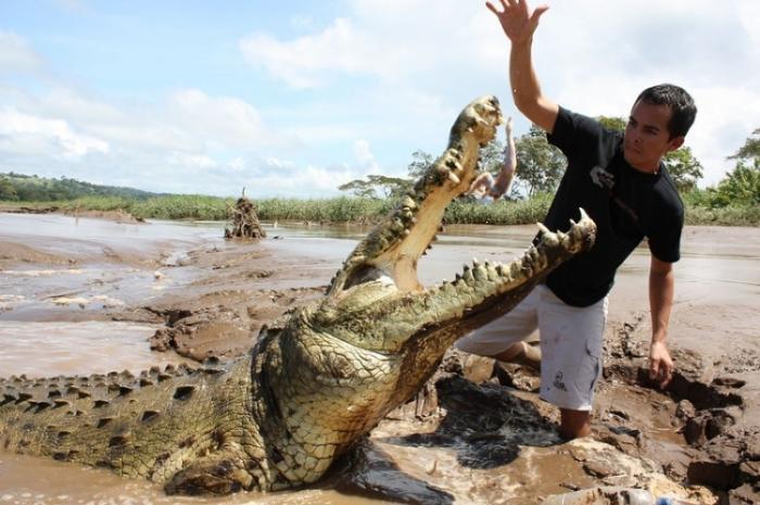 Заклинатель крокодилов из Коста-Рики (8 фото)