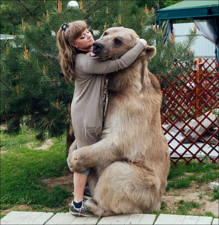 В российской семье 23 года живет медведь Степан (9 фото)