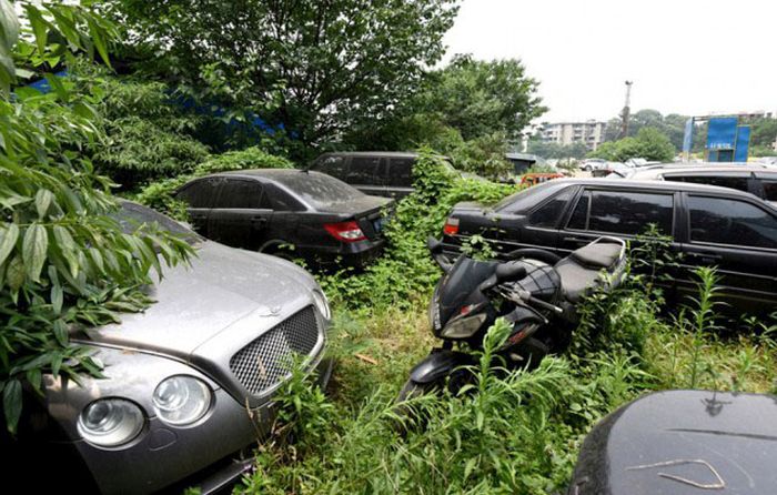 В Китае обнаружили свалку дорогих машин (5 фото)