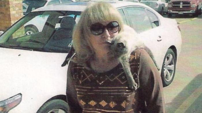 Интересные факты о кошках (20 фото) Интересные факты о кошках (20 фото)