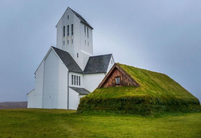 Скандинавские домики с заросшей крышей (25 фото)