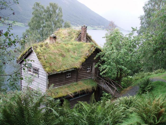 Скандинавские домики с заросшей крышей (25 фото)