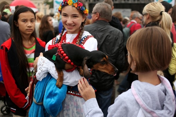 В Польше прошел традиционный парад такс (18 фото)