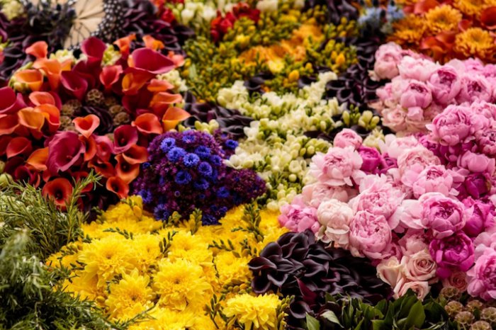 Живая картина из тысяч цветов (7 фото)