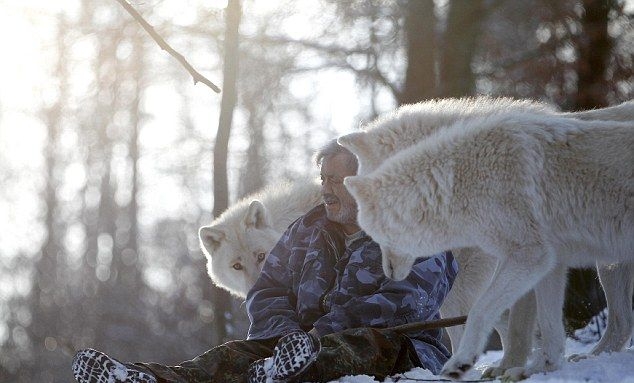 Бывший десантник кормит со рта волков из своей стаи (15 фото)