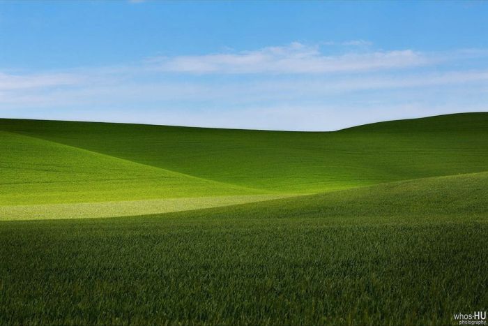 Китайский фотограф случайно переснял обои Windows XP (5 фото)