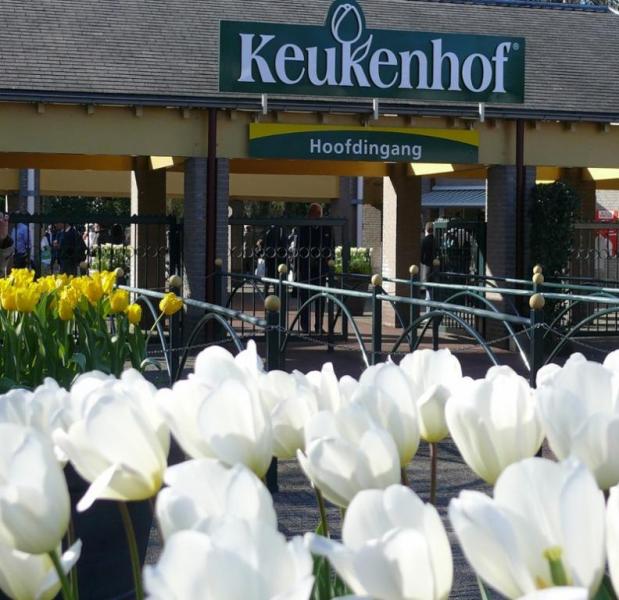 Поражающий воображение парк цветов Кейкенхоф (13 фото)