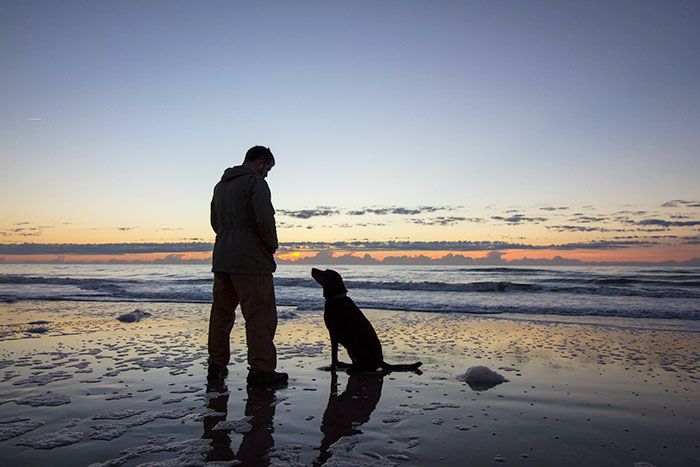 Парень путешествует со своей собакой, больной раком (12 фото)