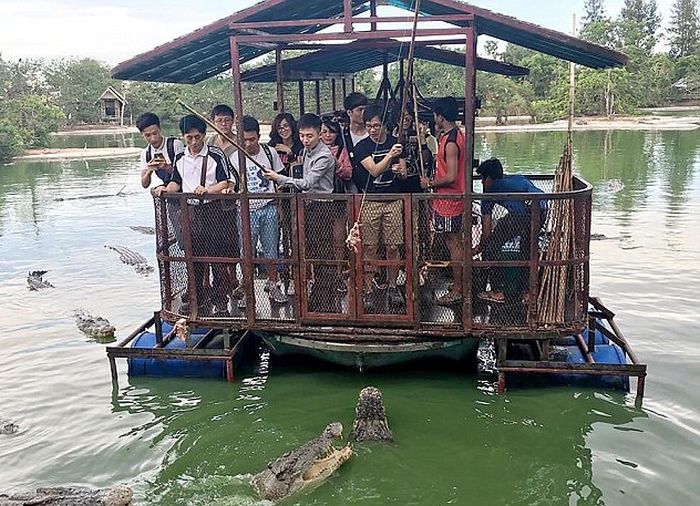 Аттракцион для любителей крокодилов в Таиланде (6 фото)