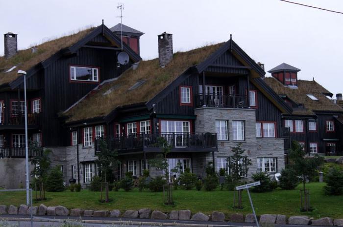 Крыши в Норвегии (12 фото)