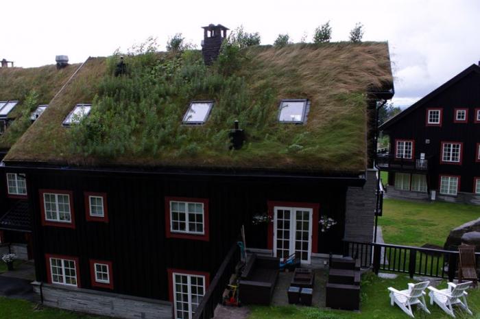 Крыши в Норвегии (12 фото)