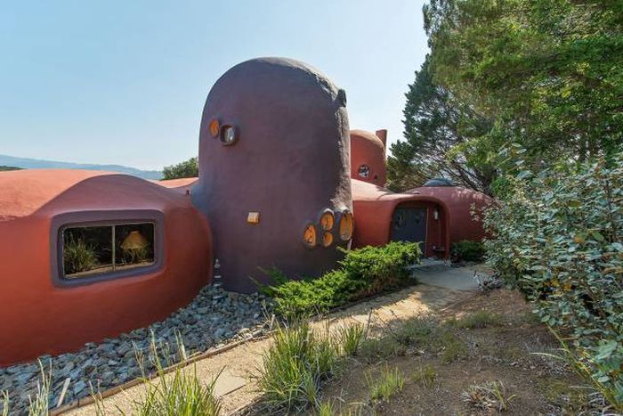 Необычный дом в Калифорнии (21 фото)
