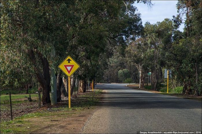  Идеальные австралийские дороги (21 фото)