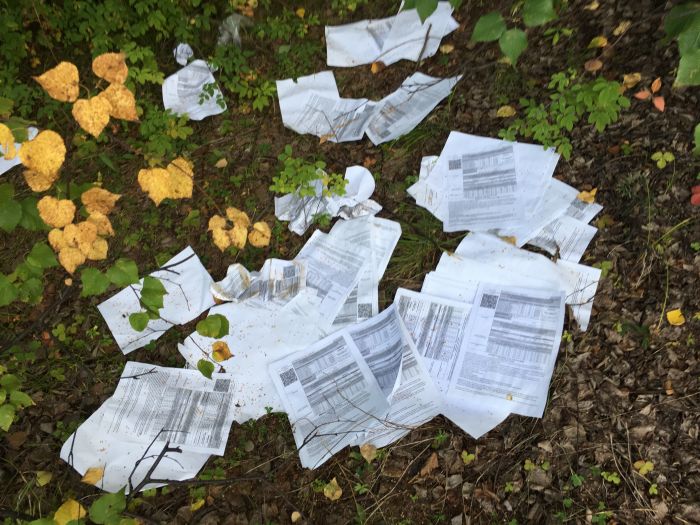В лесу обнаружили письма, выброшенные «Почтой России» (3 фото)