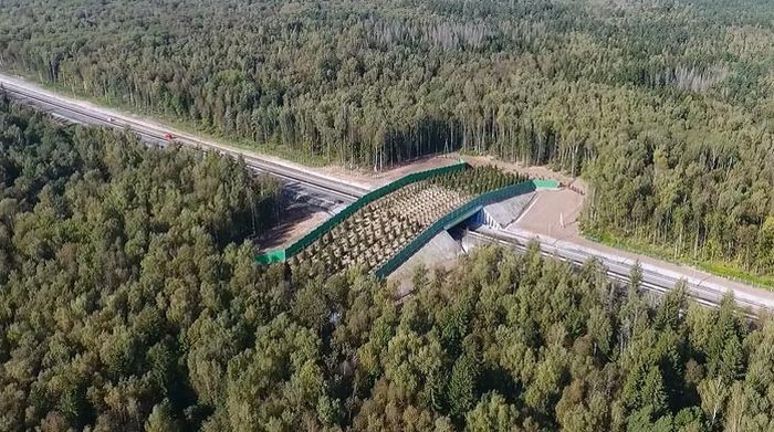 В Калужской области появился первый в России экодук (6 фото)