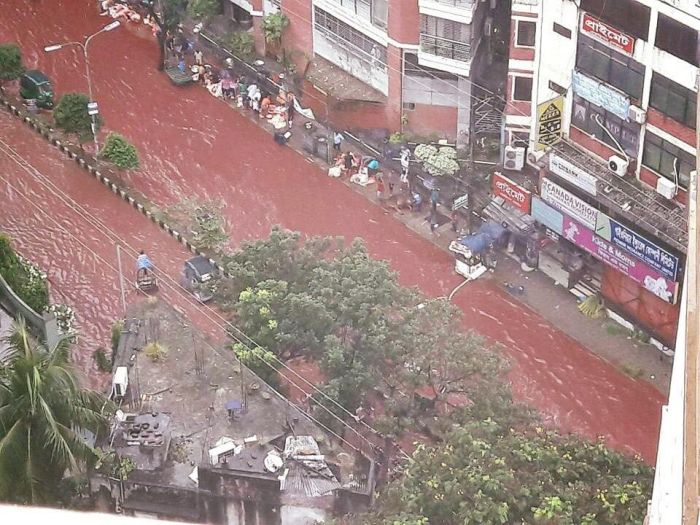Кровавые реки на улицах Дакки во время празднования Курбан-байрама (6 фото)