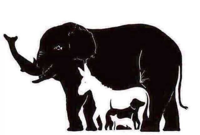 Сколько животных вы видите на этой картинке? (2 картинки)