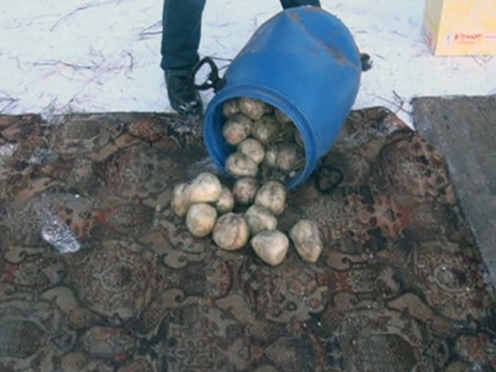 Житель Перми хранил 123 кг героина в сарае с баранами (4 фото)