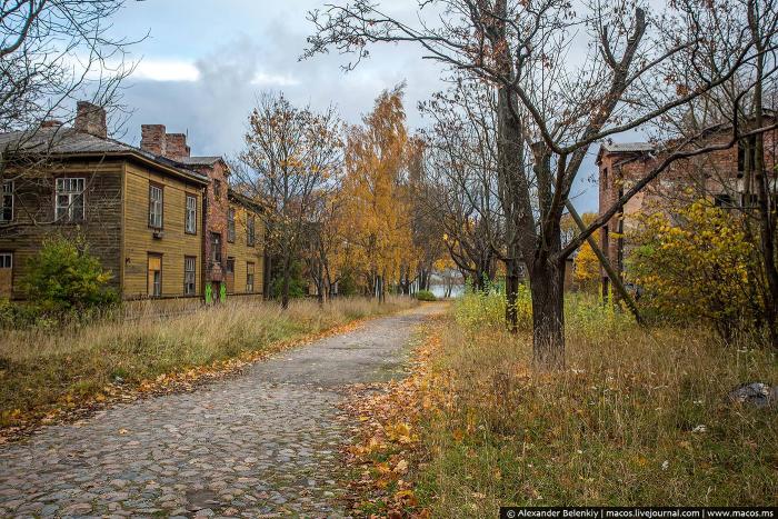 Район в Таллине, где просто не могут жить люди (18 фото)