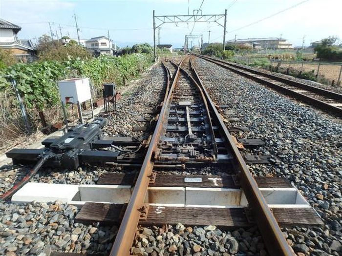 Железнодорожные тоннели для черепах в Японии (3 фото)