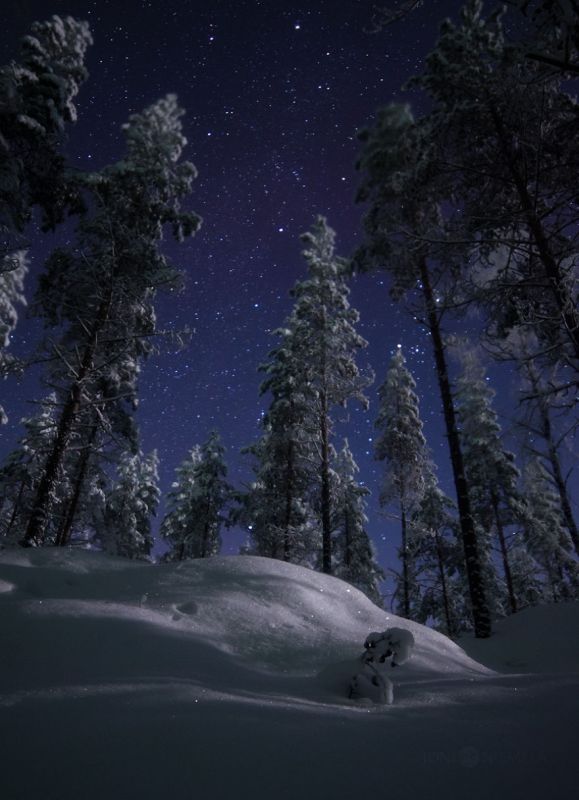 Ночное небо Финляндии (12 фото)