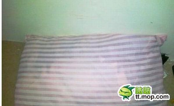Подушка сделана в Китае (5 фото)