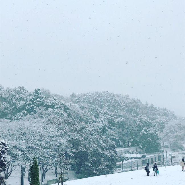 В Токио впервые за 54 года первый снег выпал в ноябре (11 фото)